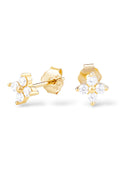 Puces d'oreilles