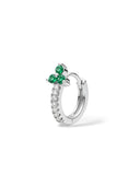 GREEN BIELLA